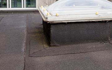disadvantages of Arddleen flat roofs