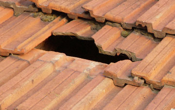 roof repair Arddleen, Powys
